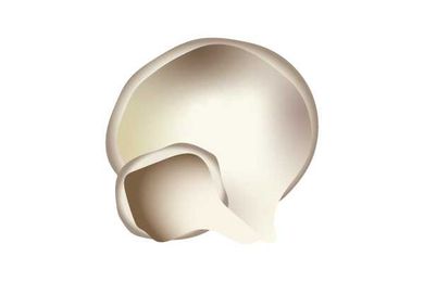 A Guide to Mushrooms and How to Use Them