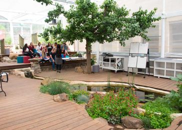 Biophilic Design Comes to AV