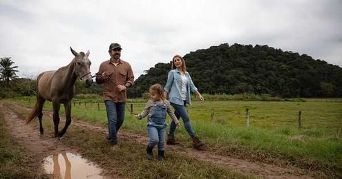 Sustainable Farming: Lessons From The Cacao Plantation