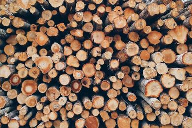 Here's where you can get free firewood this winter