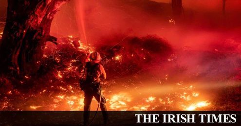 How to cope with the grief that comes with the world’s ecological crisis