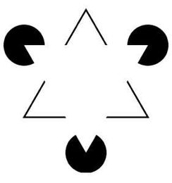 20 Amazing Optical Illusions