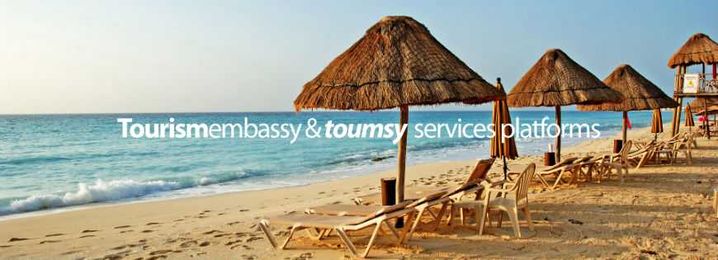 Van Service, Connect, Explains How to Determine What Type of Transportation