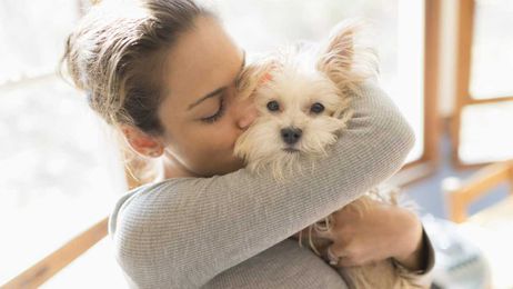 Scientists reveal a new formula to convert your dog's age to human years