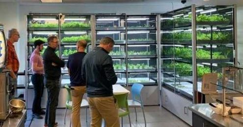 Modular Micro Farms: A New Approach To Urban Food Production?