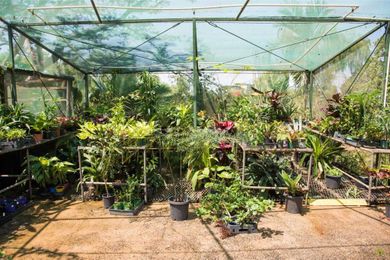 Tips to Help Maximize Greenhouse Space