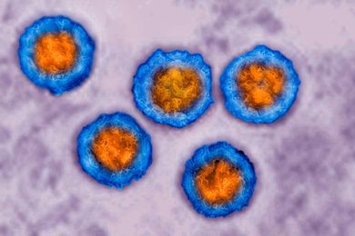 How the “Herpes Panic” Created a Stigma That Still Exists Today