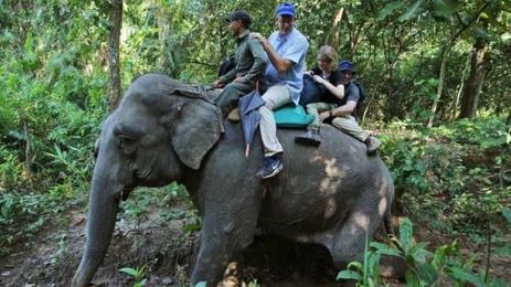 How 'Indiana Jones' scientists braved leeches and tigers to fight climate change