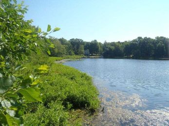 Looking for some land? Check out parcels the DNR is selling