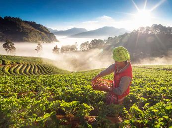 How Companies Can Build Ethical Supply Chains on a Global Scale