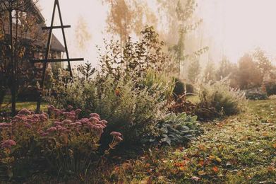 Don’t Neglect Your Fall Landscape