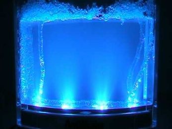 Ants Building A Farm Over A Two Week Period