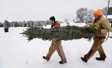 Don’t have a Christmas tree yet? That could cost you