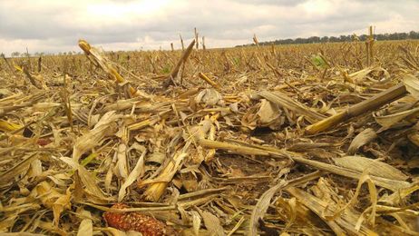 Argonne collaboration shows benefits of better corn residue management strategies