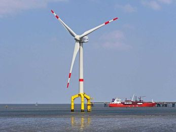 Study: Offshore Renewable Energy Installations Rough on Marine Life