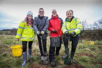 Construction company help plant 150,000 trees