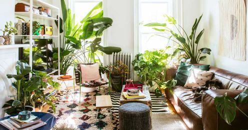 7 ways to create a lush oasis with houseplants