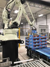 Tomato Grower Automates Palletizer to Stack Higher, Faster