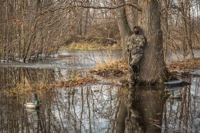 What Makes a Good Green Timber Duck Hole?