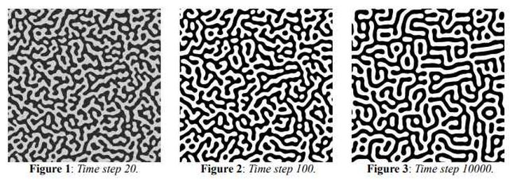 Alan Turing’s formula for finding secret patterns hidden in nature