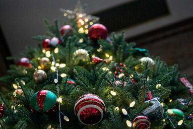 According to Tradition, You Can Have Your Tree up a Little Longer