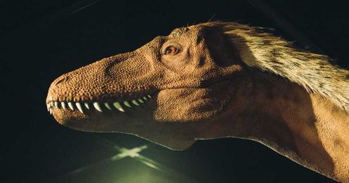 Beware Tyrannosaurus Rex Teenagers and Their Growth Spurts