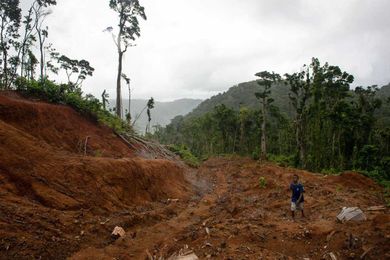 Logging is corrupting these islands. One village fights back—and wins.
