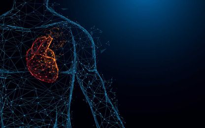 Meta-analysis supports phytosterols’ potential blood pressure benefits