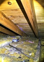 Four Scenarios When Your Insulation Needs to Be Replaced