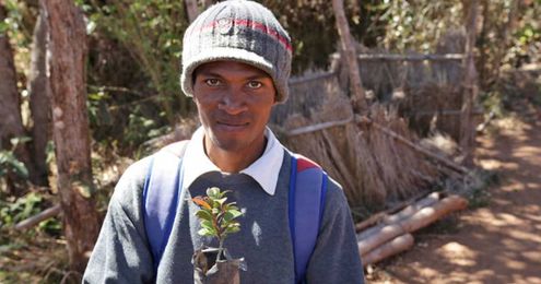 These villages battled a blaze to save their trees 