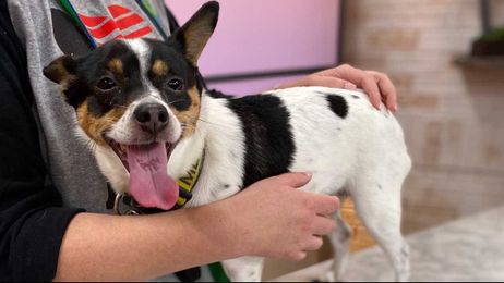 This Daisy is not your typical sour cream. She's a dollop of love!