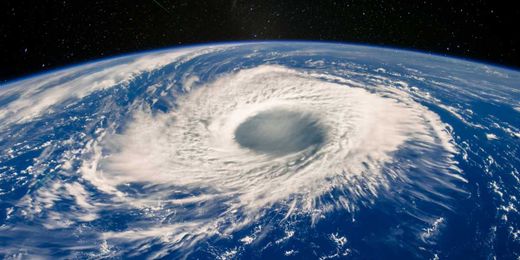 This picture of grass on Mount Everest proves how terrifyingly real climate change is