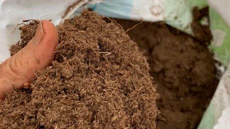 Consider easy and more sustainable alternatives to peat moss