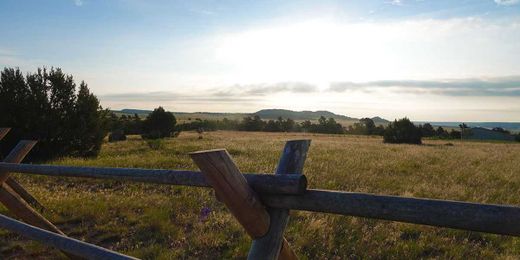 Top 3 Things to Look for in a Gentleman’s Ranch