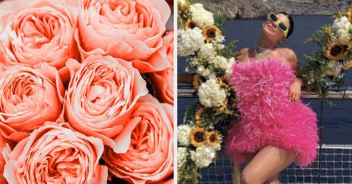 Which Flower Are You Most Like?