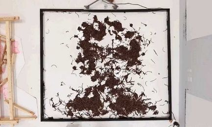 What can you learn from creating an Edgar Allan Poe portrait with 7,000 worms?