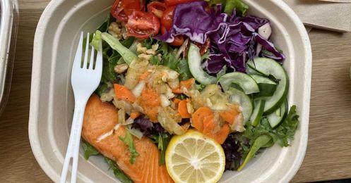 Zero-waste disposable lunch bowls are a lie