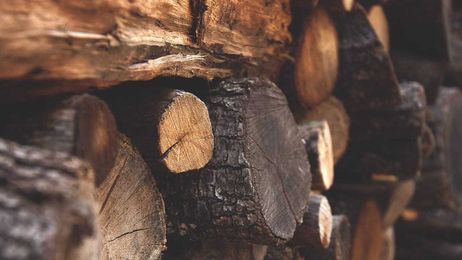 Gardener State: Wood burning safety tips