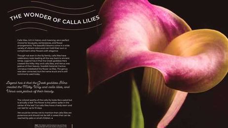 Resources to learn more