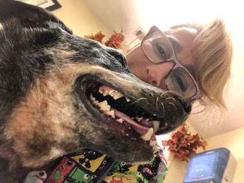 The Mistakes Veterinarians Live that Make Us Paranoid. Or Kill Us. (Diary of a Real-Life Veterinarian)