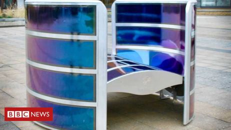 How a laurel leaf led to a new solar energy plan