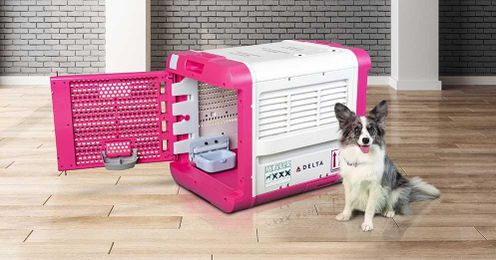 Delta Airlines introduces CarePod  for toting Fido or felines on flights