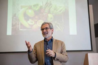 Walnuts may slow cognitive decline in at-risk elderly