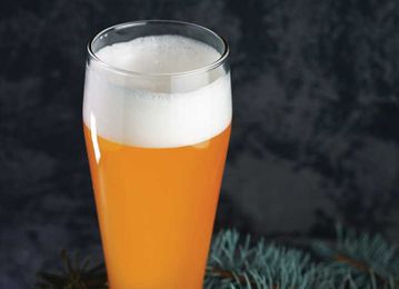 Tropical fruit and earthy hops shine in 4 Hands Warped Perception