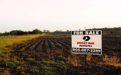 5 Reasons to Sell Your Land with Mossy Oak Properties 