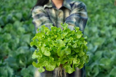 5 Ways to Build Healthier Food Systems