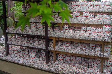 16 Unique Experiences That'll Give You A Taste Of Japanese Culture