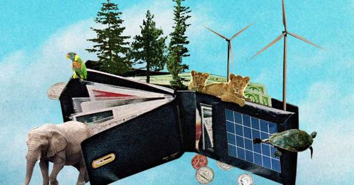 One Thing You Can Do: Make Smart Donations