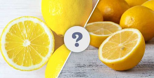 What Makes Meyer Lemons So Special, Anyway?
