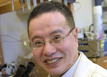 Choice of Anesthesia May Affect Breast Metastases